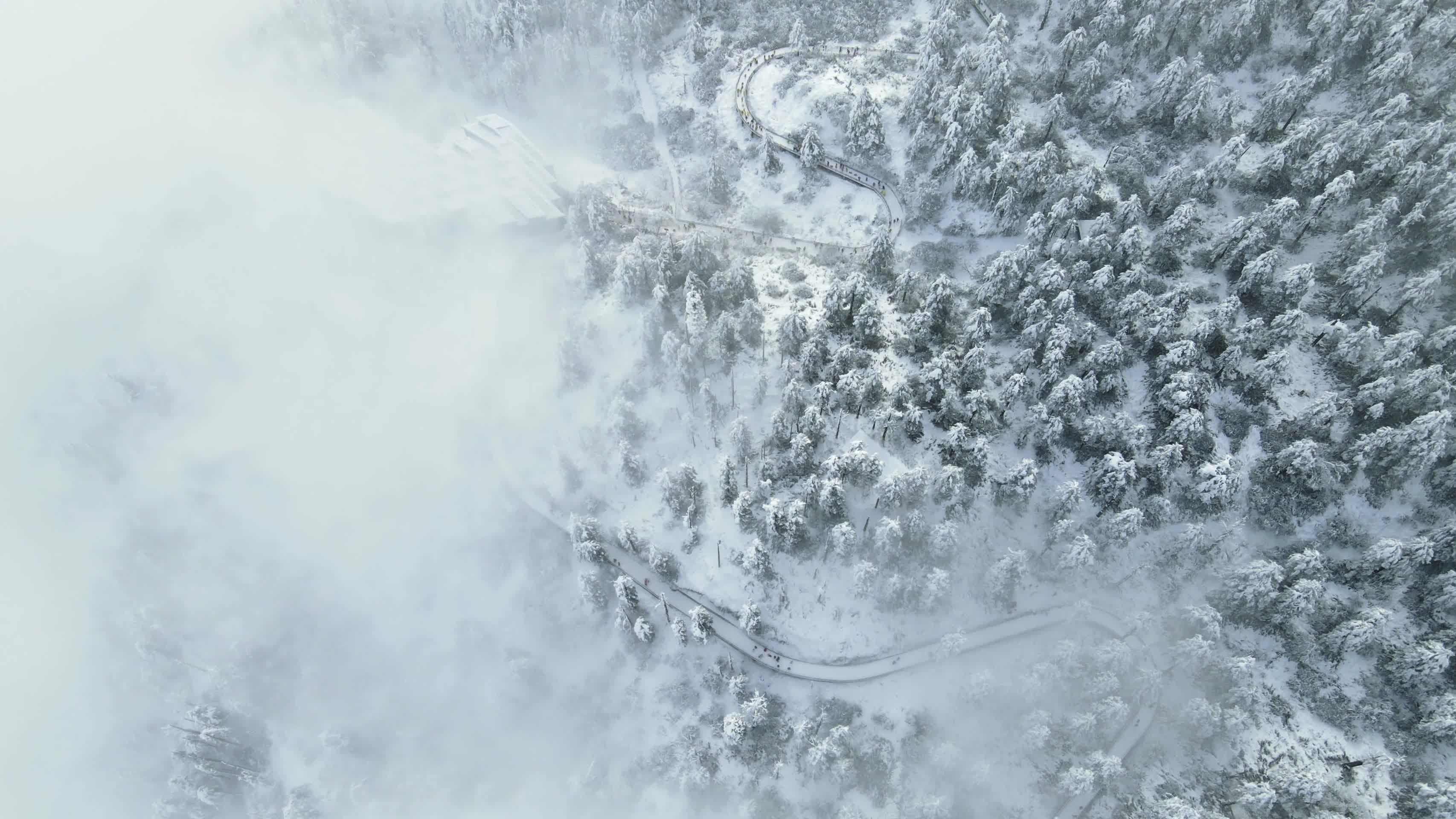 冬季四川瓦屋山国家森林公园视频的预览图