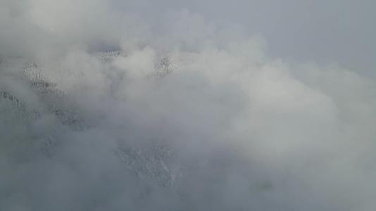 瓦屋山冬季雾凇雪景视频的预览图