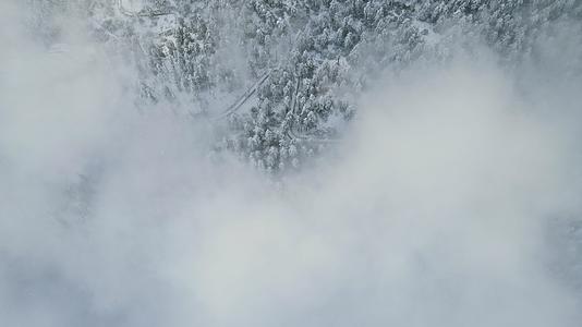 航拍四川瓦屋山冬季视频的预览图