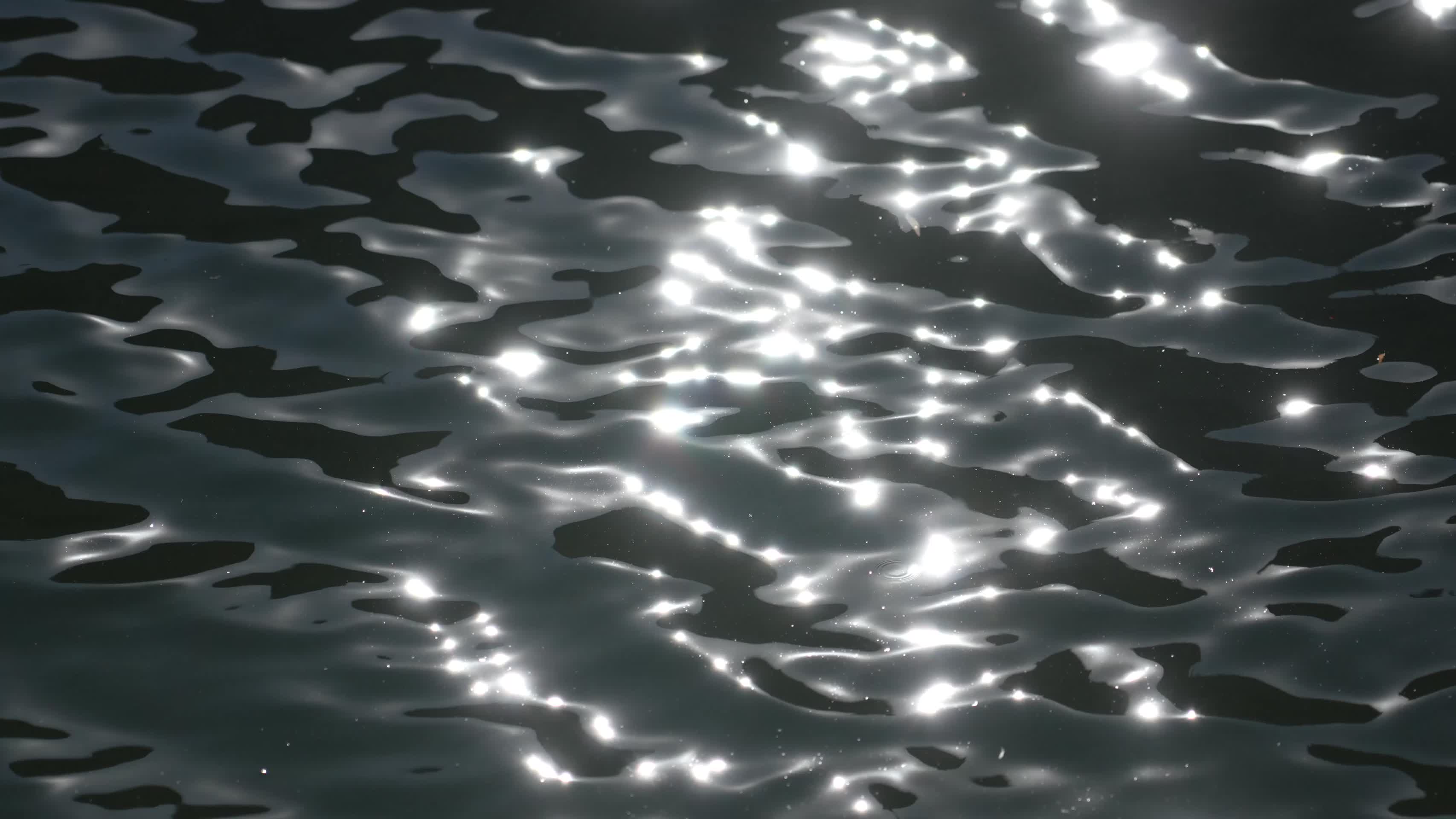 波光粼粼的水面揉动视频的预览图
