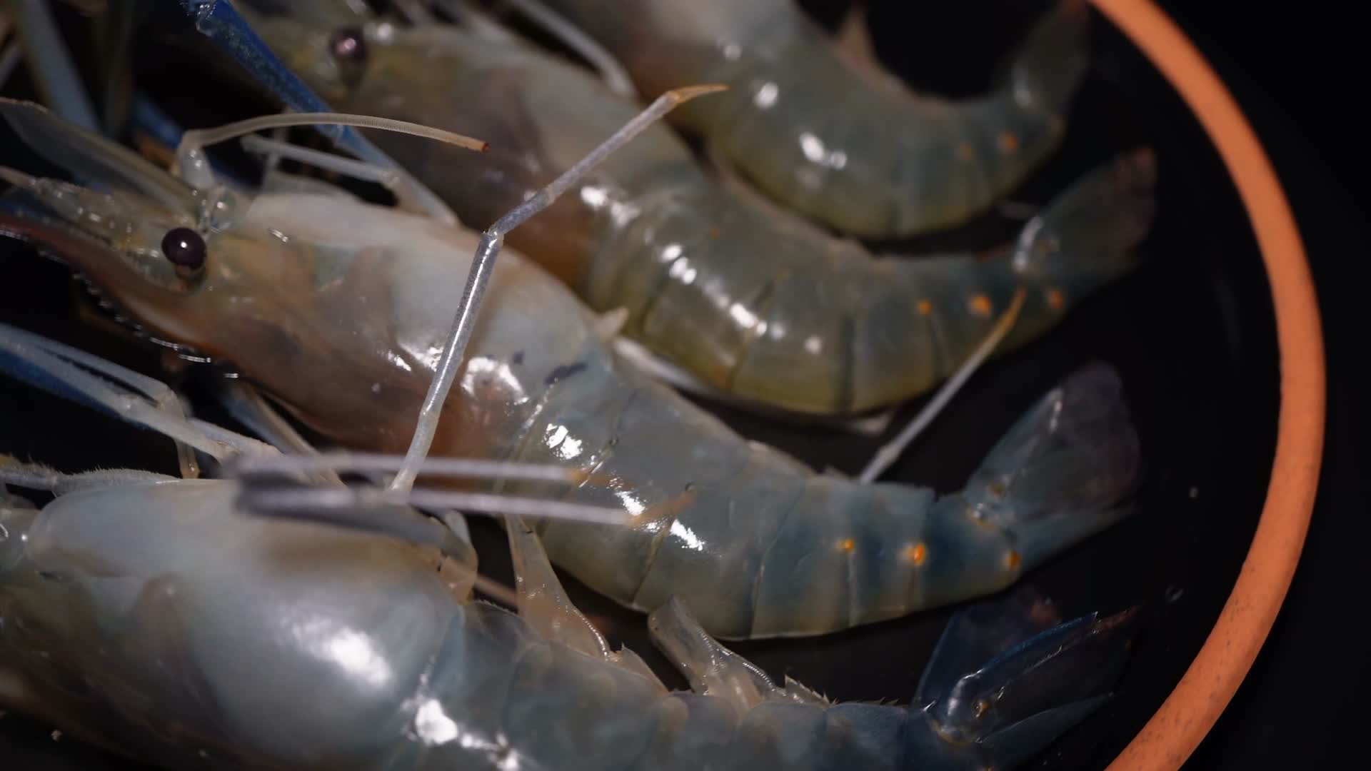 大头虾罗氏虾海鲜水产美食视频的预览图