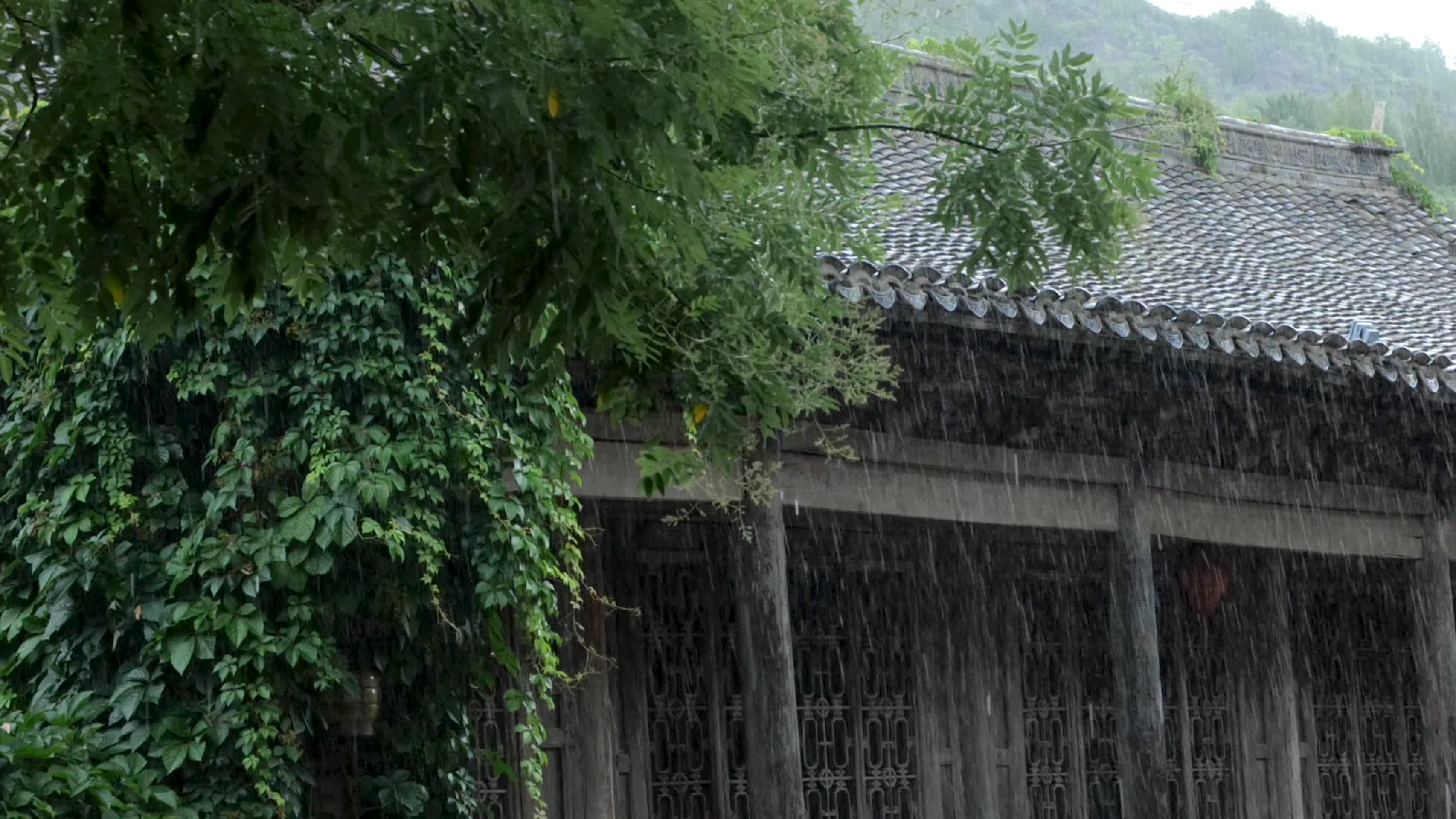 雨天古镇风光视频的预览图