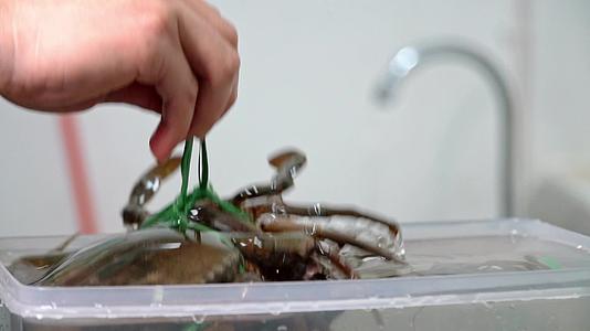 大闸蟹升格慢镜头实拍视频视频的预览图