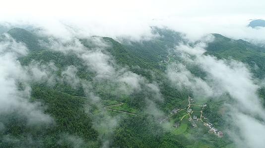 大山云雾树林茂密乡村高山山脉自然世界视频的预览图