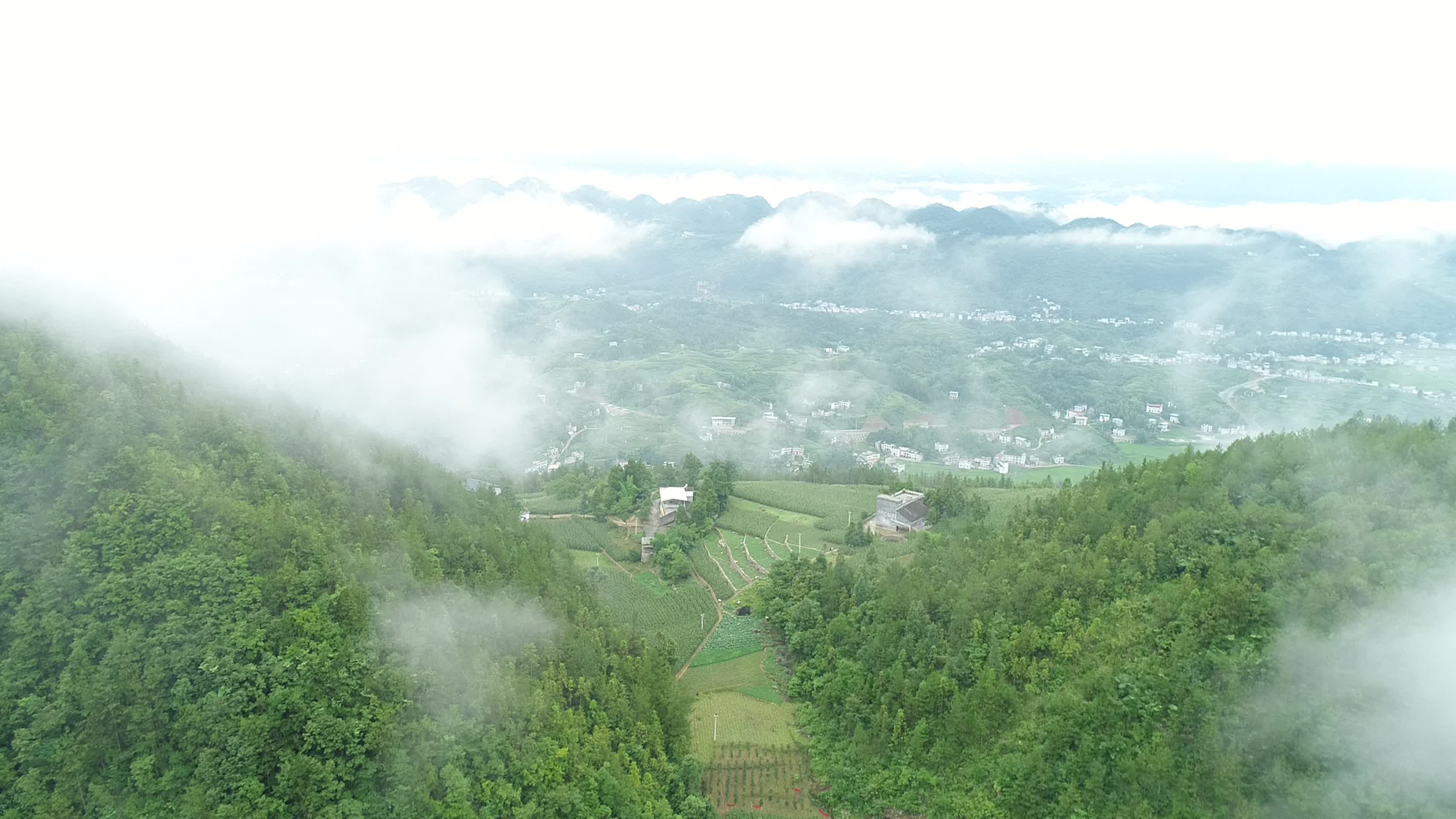 大山云雾树林茂密乡村高山山脉自然世界视频的预览图