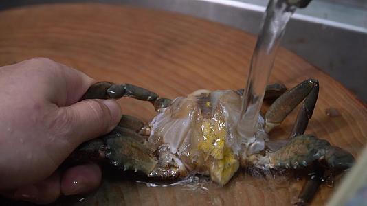 美食洗大闸蟹实拍视频视频的预览图
