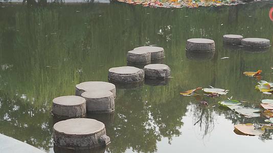 公园池塘的景色视频的预览图