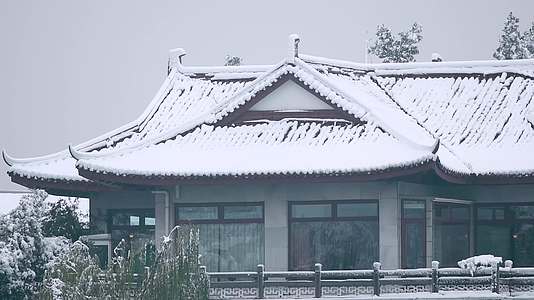 杭州西湖雪景初雪积雪特写视频视频的预览图