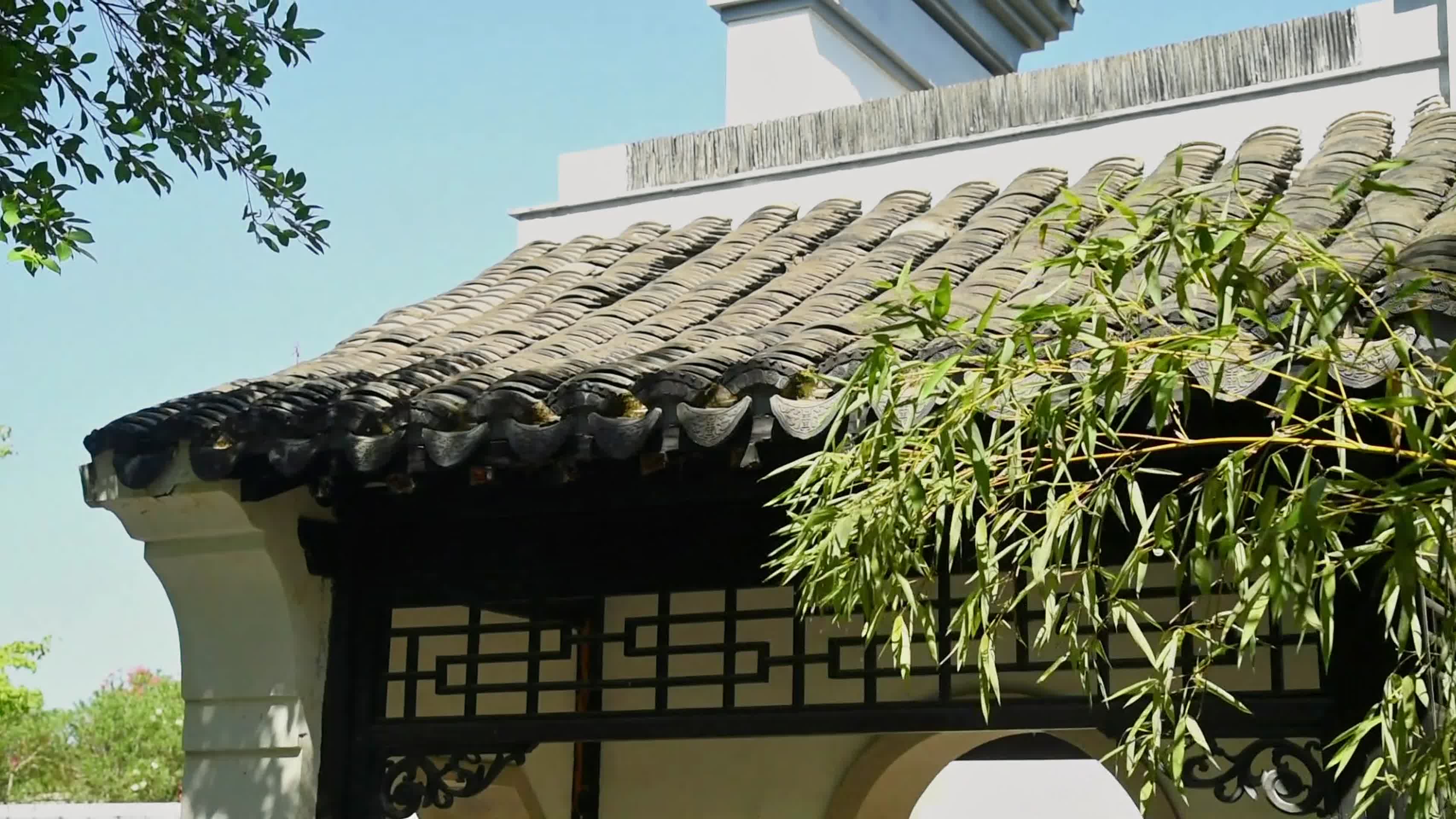 夏天园林古建筑屋檐绿植古风视频的预览图