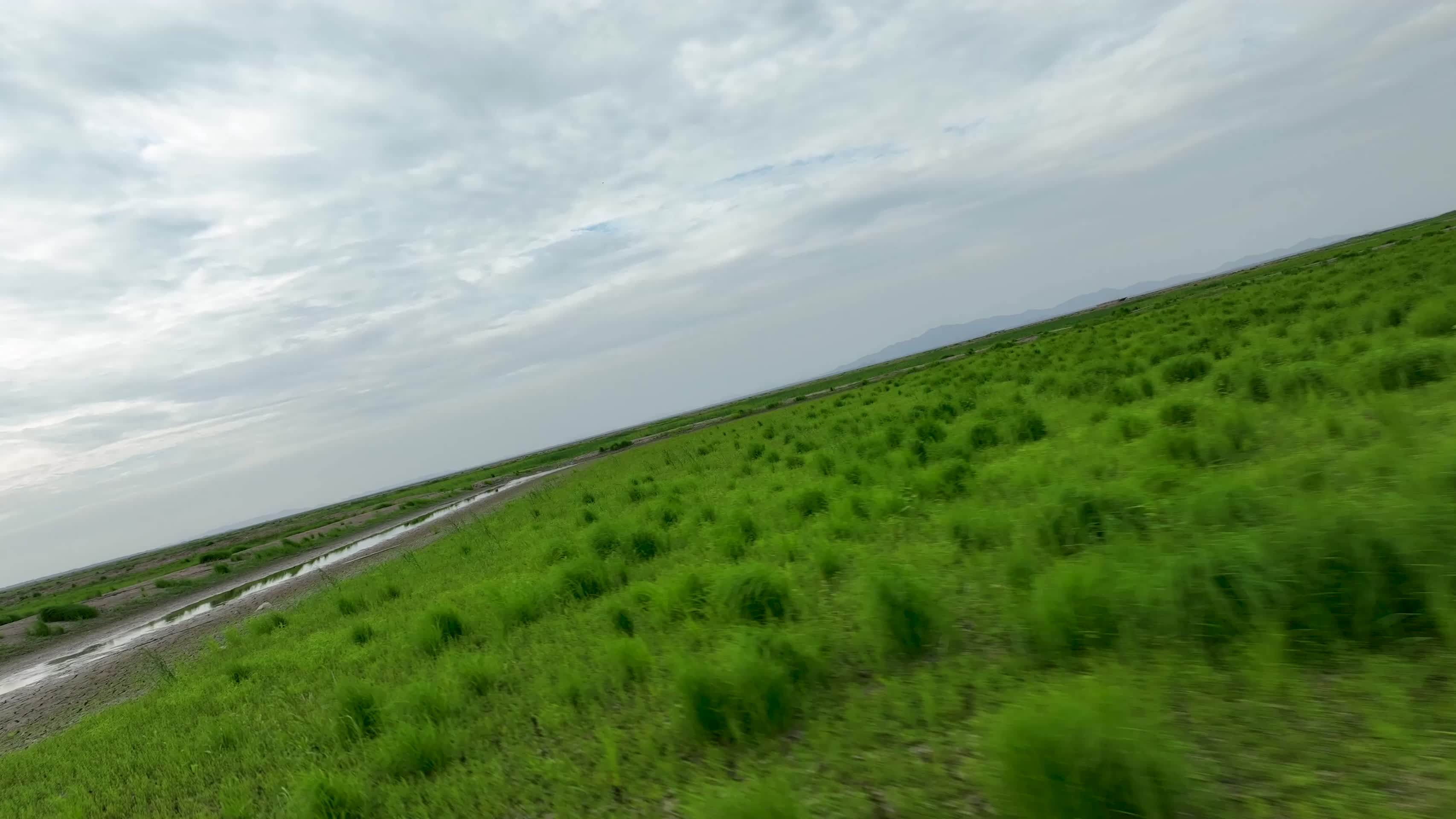 航拍干涸的石臼湖草海视频的预览图