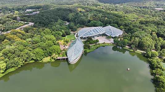 航拍南京前湖公园和植物博览园视频的预览图
