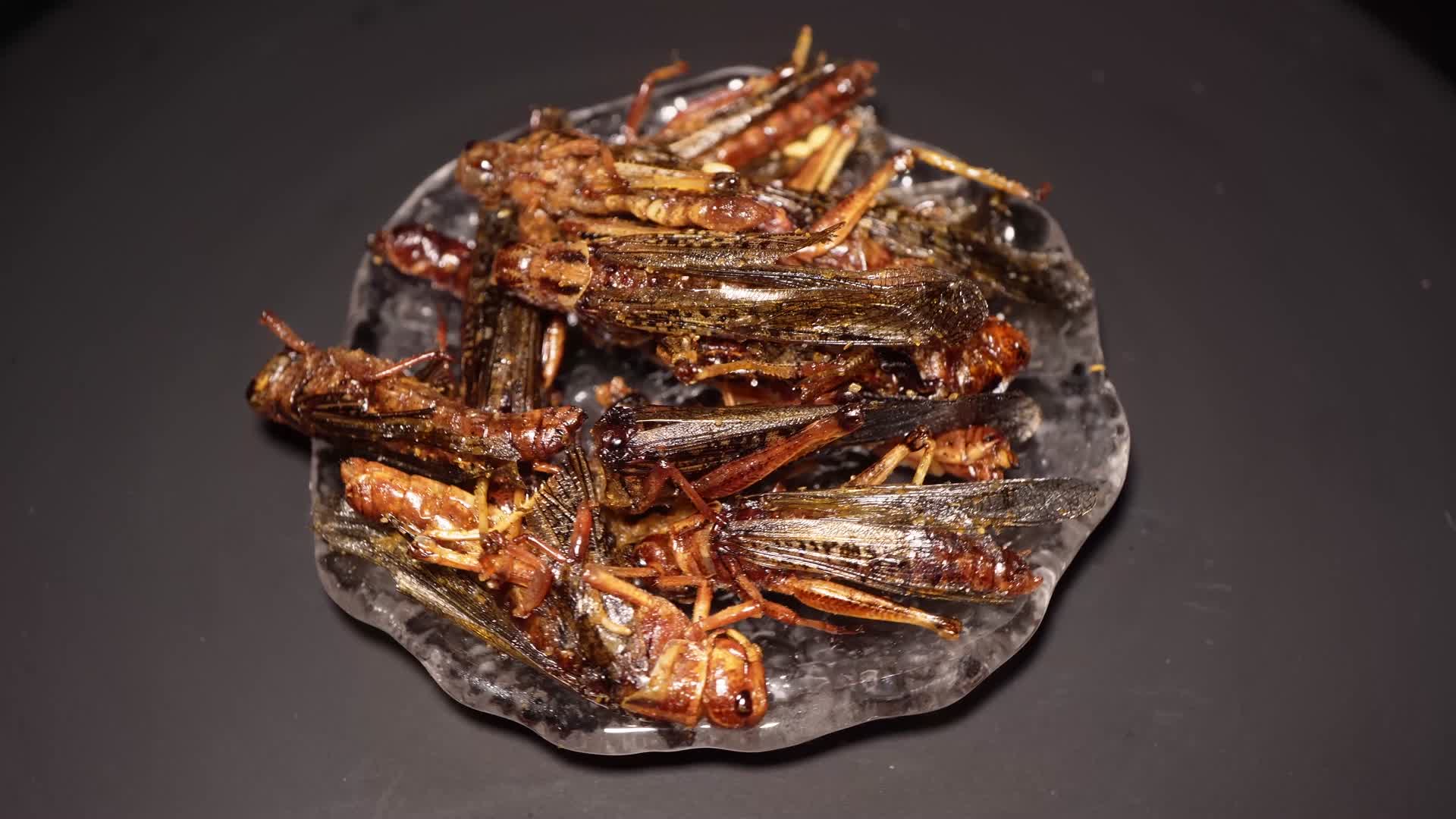 油炸蚂蚱蟋蟀食用昆虫视频的预览图