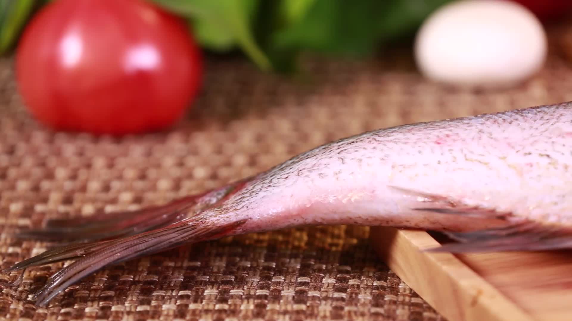 白鲢鱼胖头鱼视频的预览图