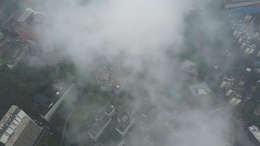 阴雨天气重庆西南大学校园视频的预览图