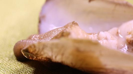 掰开花蛤花甲蛤蜊看内脏砂囊视频的预览图