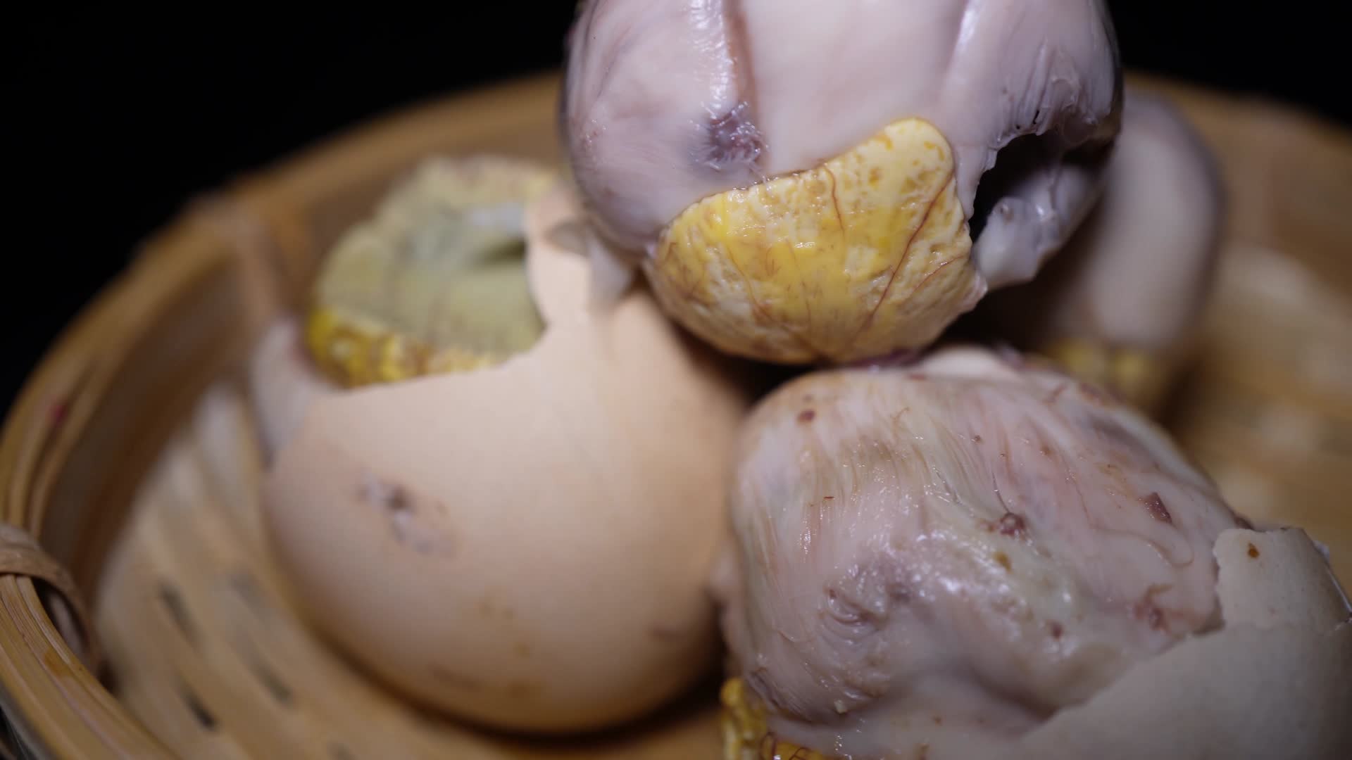毛鸡蛋活珠子鸡胚视频的预览图