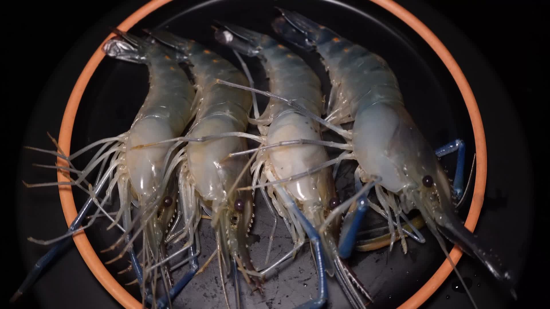 清洗美食大头虾罗氏虾海鲜视频的预览图