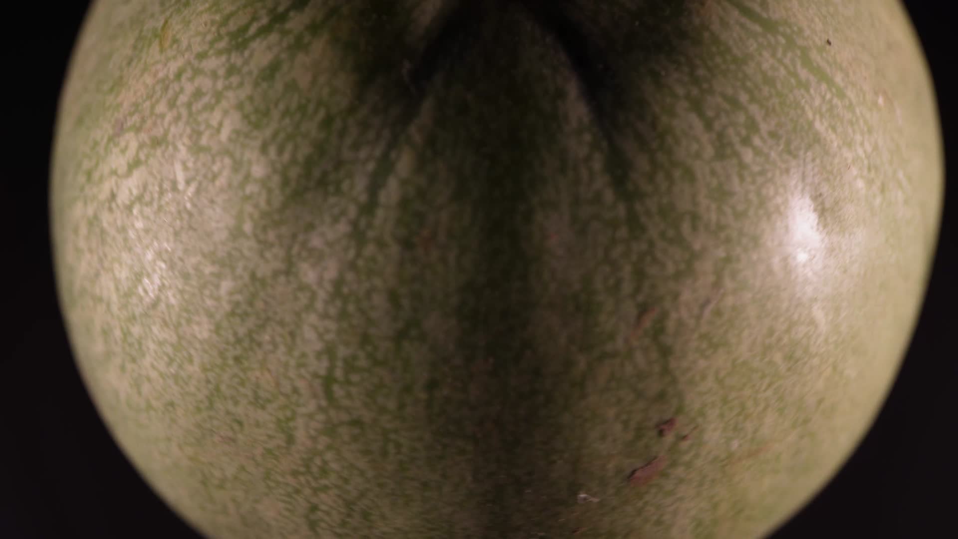 绿宝瓜香瓜蜜瓜甜瓜视频的预览图