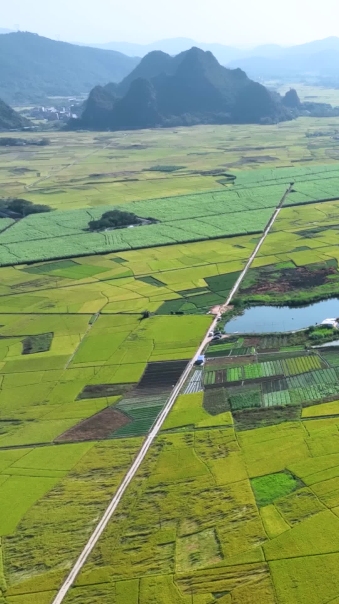 高清竖屏航拍玉林兴业农田秋收景象视频的预览图