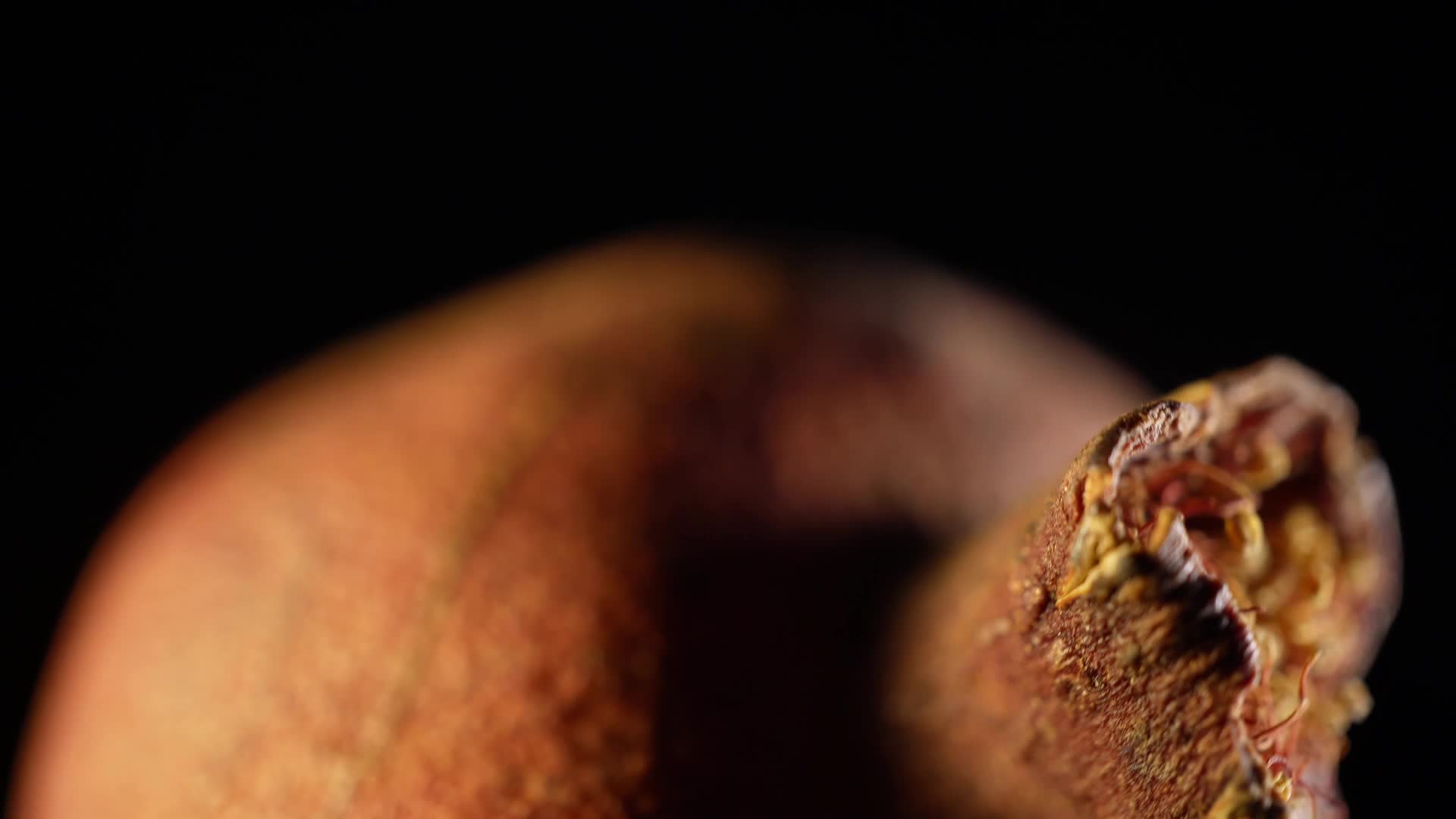 干石榴小石榴脱水石榴装饰种子植物标本视频的预览图