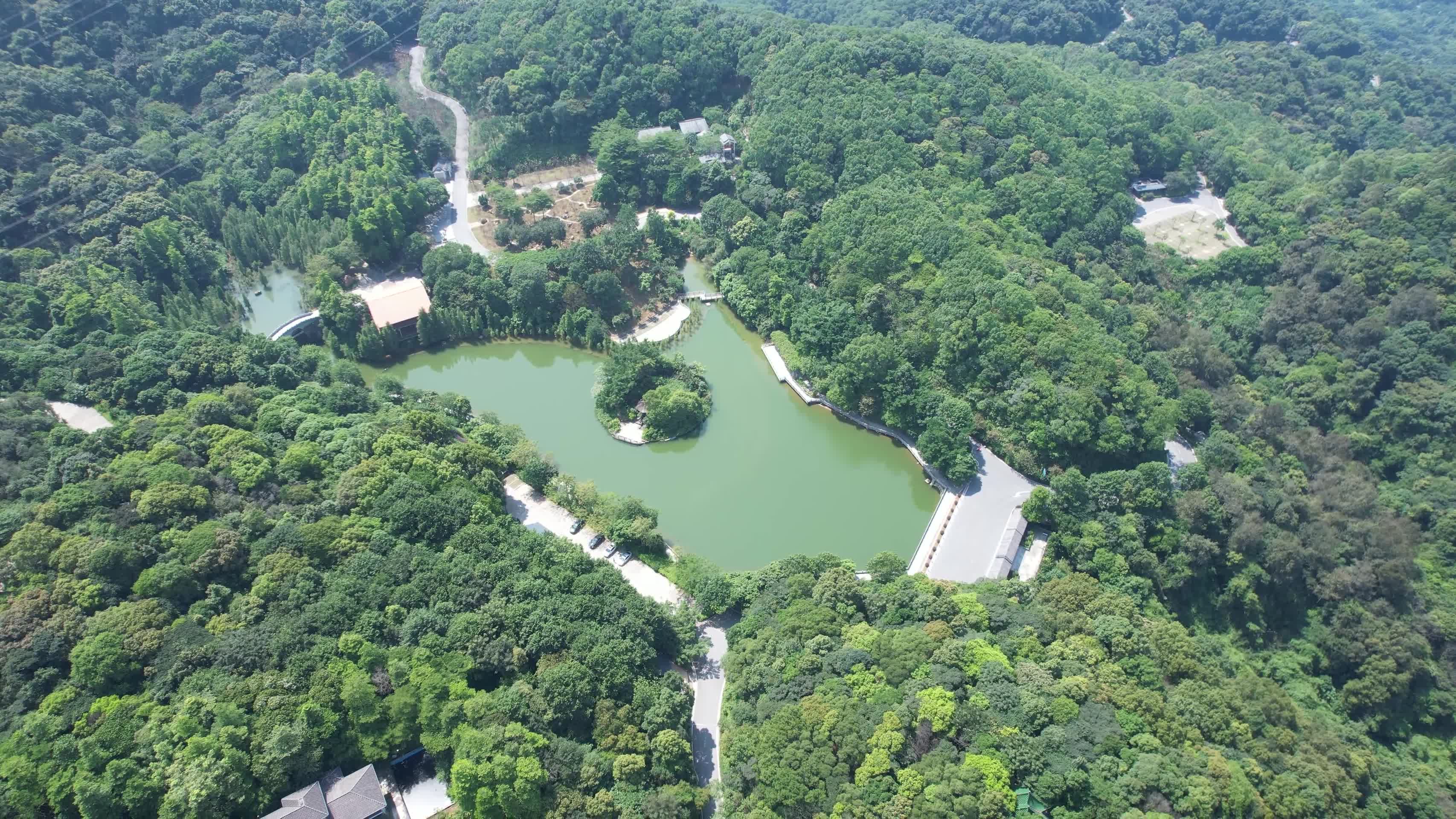4K广州帽峰山森林公园视频的预览图