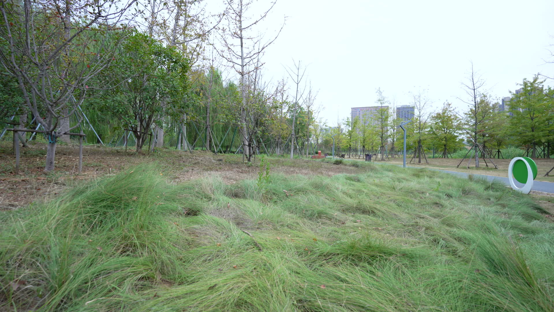武汉洪山区光谷三路湿地公园视频的预览图