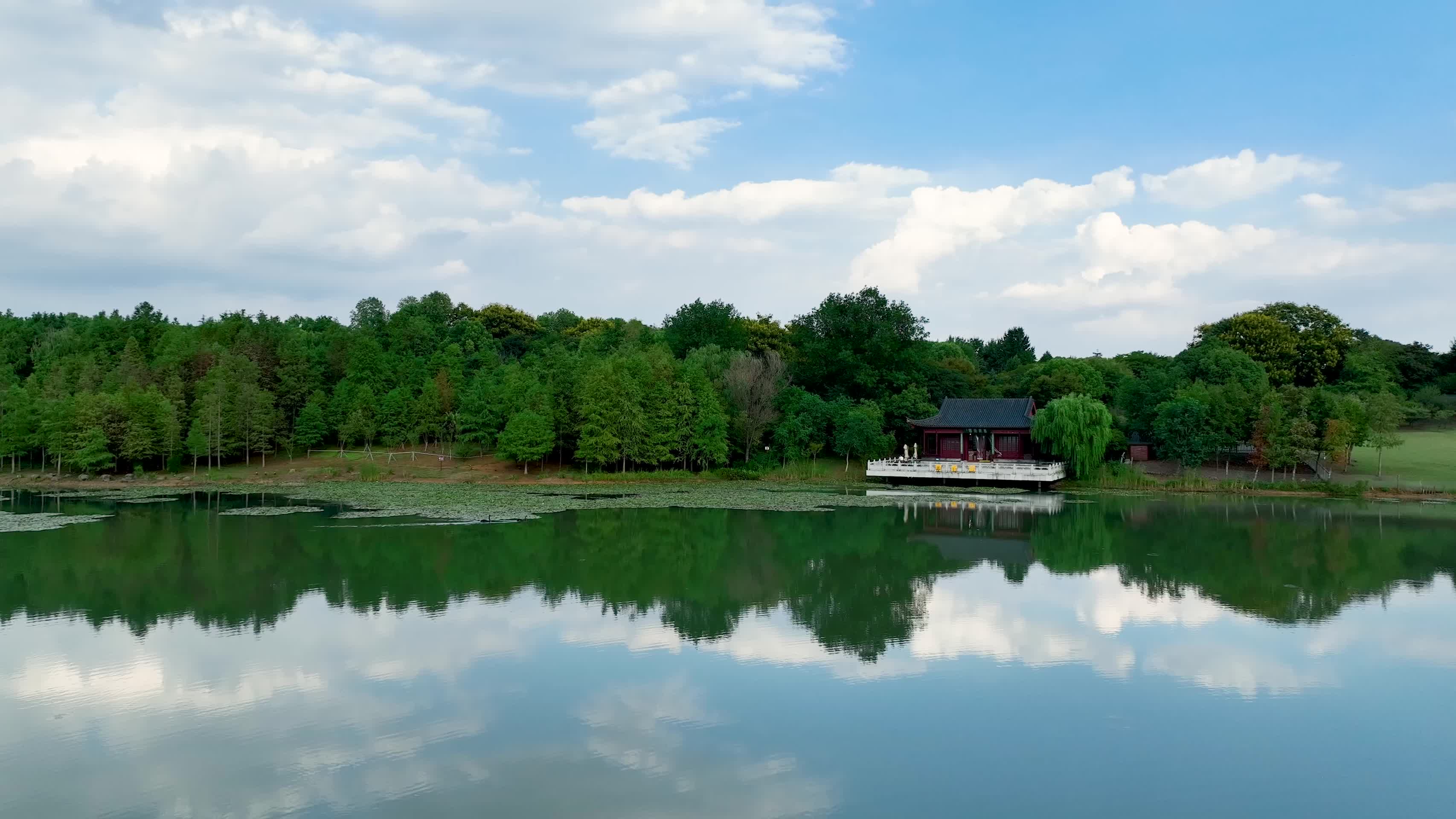 航拍南京钟山风景区燕雀湖风光视频的预览图