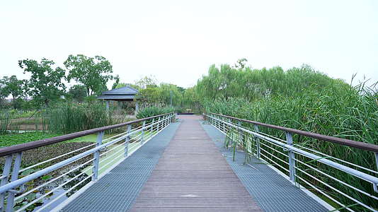 武汉洪山区光谷三路湿地公园视频的预览图