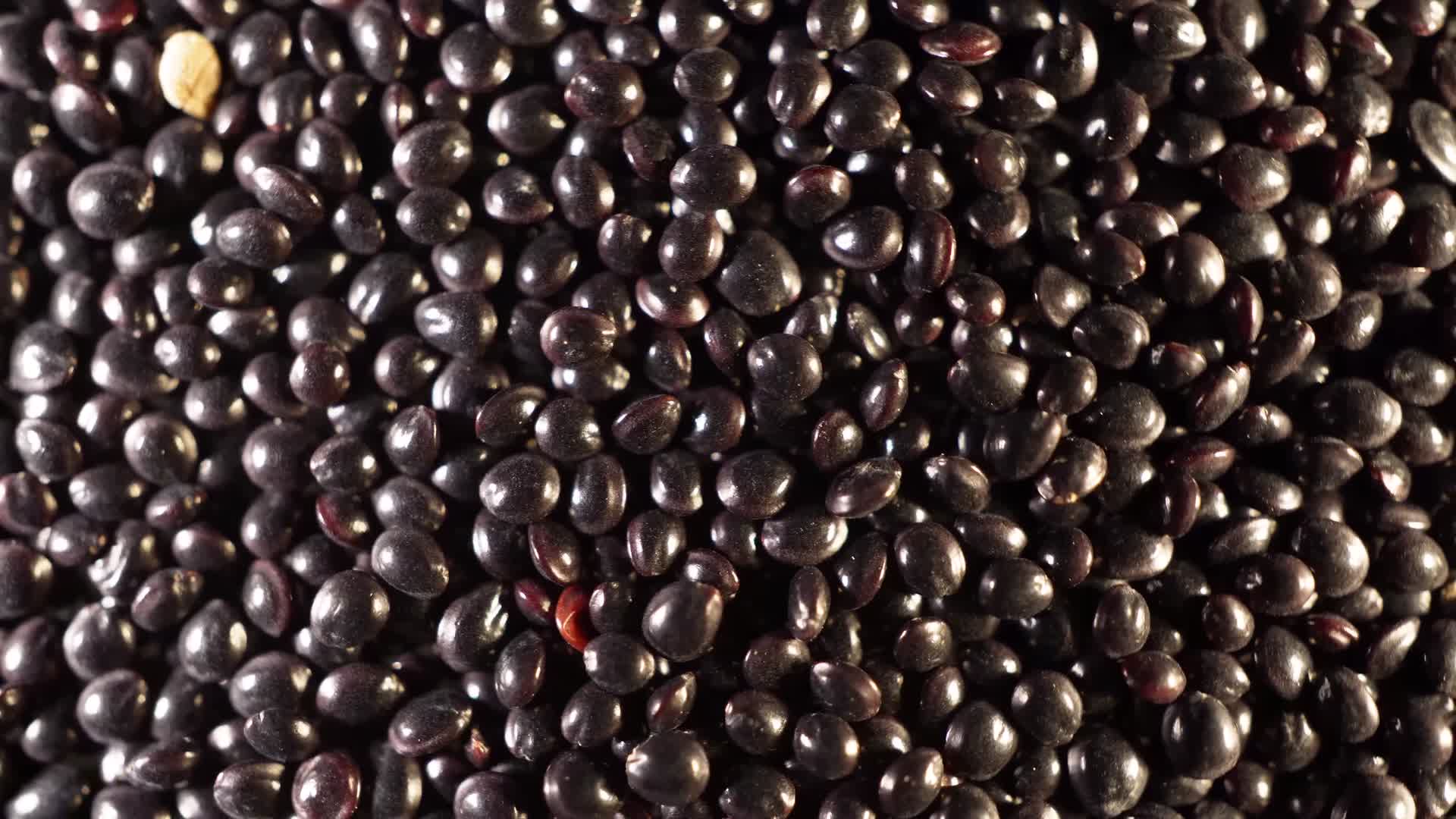 一点红苋菜种子蔬菜种子农作物种菜蔬果种子视频的预览图