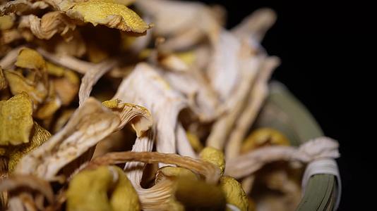 东北特产鸡油菌干蘑菇黄金股小黄蘑菇榆黄蘑视频的预览图