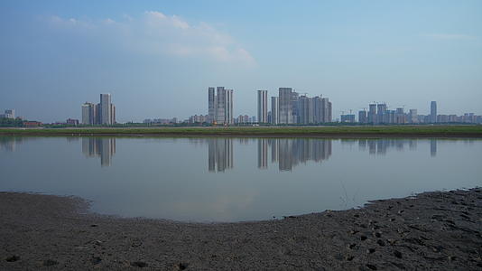 武汉洪山区天兴洲滩涂视频的预览图