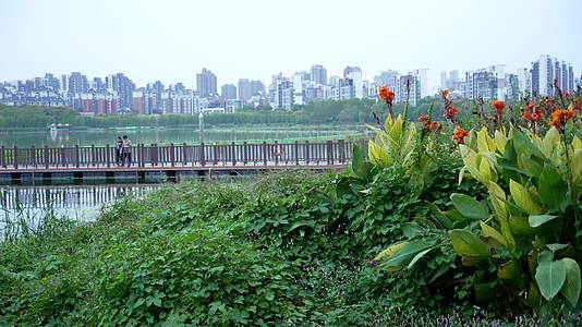 武汉南湖幸福湾水上公园视频视频的预览图