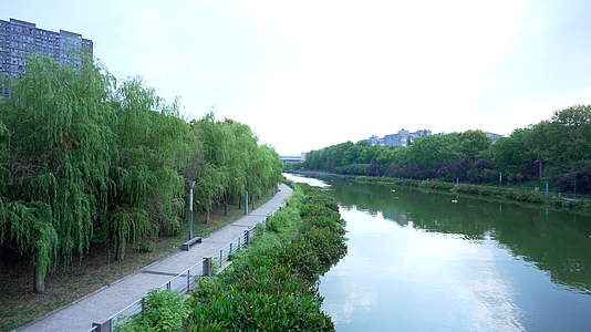 武汉洪山区巡司河风情公园风景视频的预览图