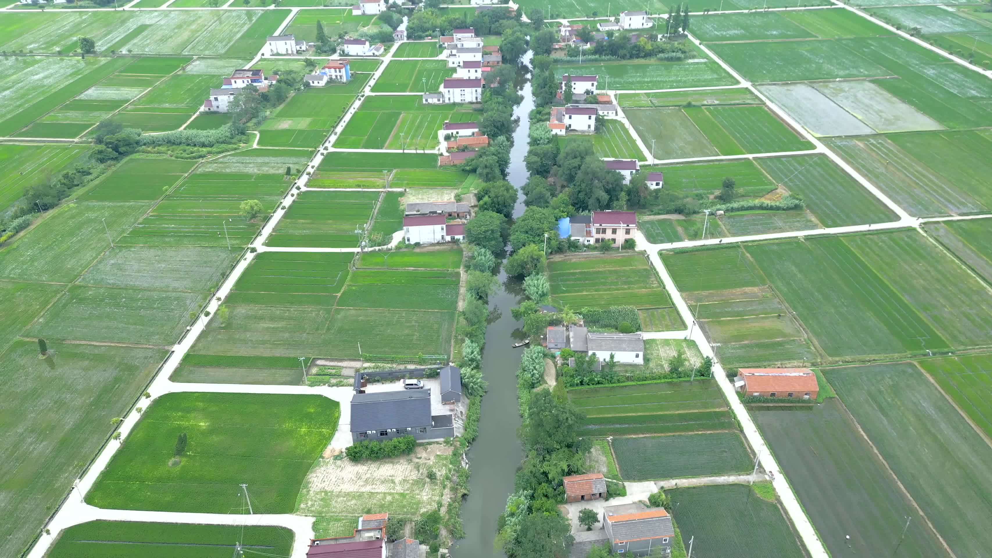 4K航拍平原农村沿河而居的村舍和绿色的农田合集视频的预览图