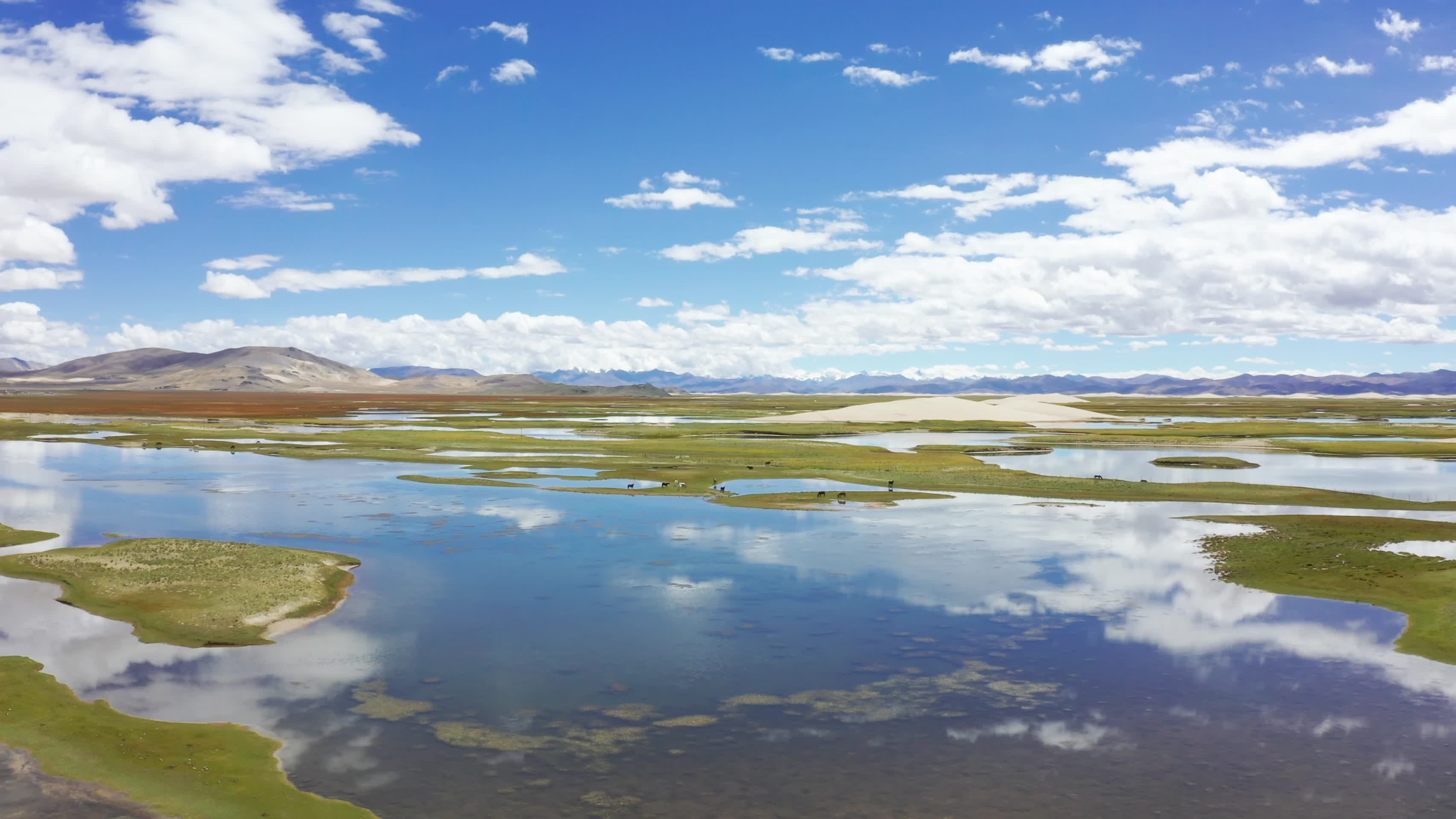 航拍西藏219国道旁的草原湿地视频的预览图