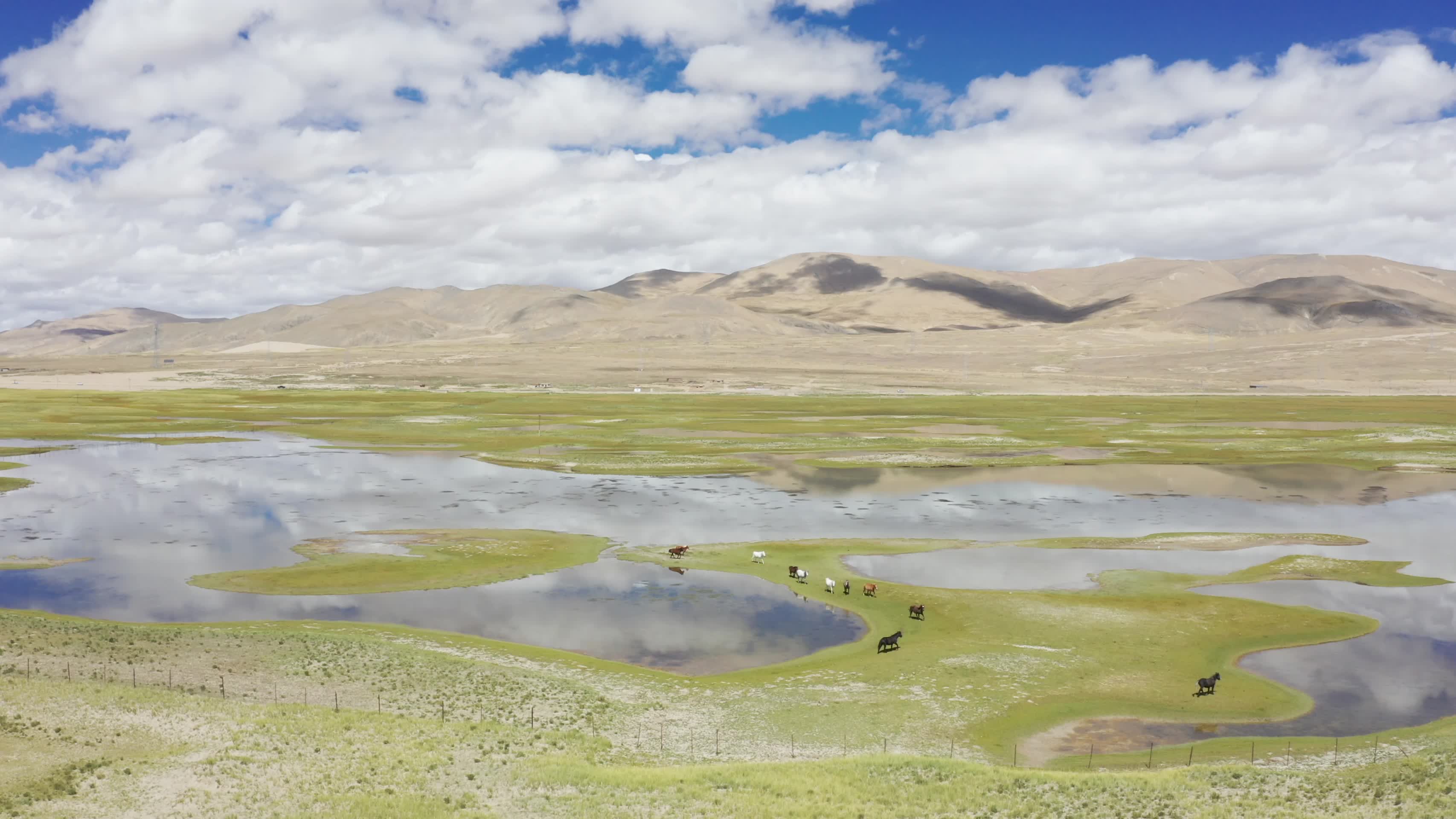 航拍西藏219国道旁的草原湿地视频的预览图