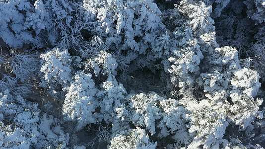 航拍峨眉山顶雪中的森林视频的预览图