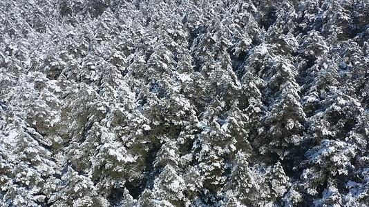 航拍峨眉山山谷雪景视频的预览图