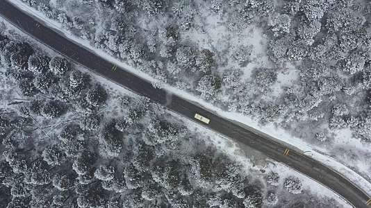 航拍汽车行驶在大雪纷飞的鲁朗林海中的川藏公路视频的预览图