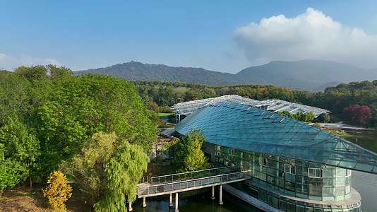 航拍南京中山陵植物博览园秋景视频的预览图