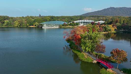 航拍南京中山陵前湖公园秋季景色视频的预览图