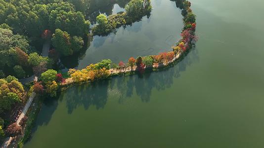 航拍南京中山陵前湖公园秋季景色视频的预览图