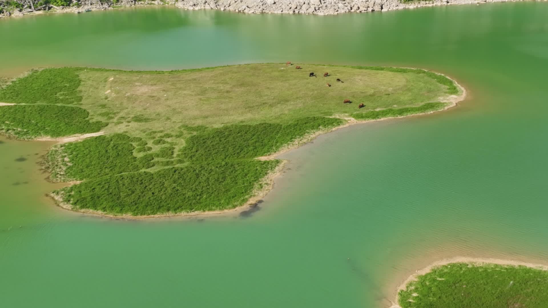 4K航拍更望湖绿野视频的预览图