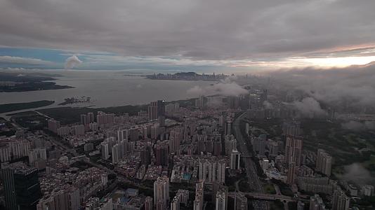 深圳湾视频的预览图