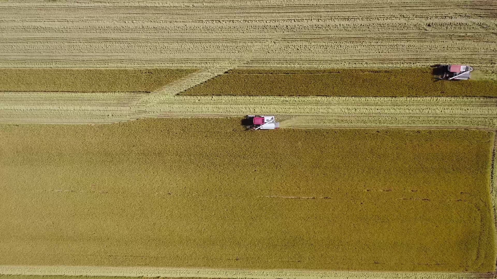 稻田收割航拍视频的预览图