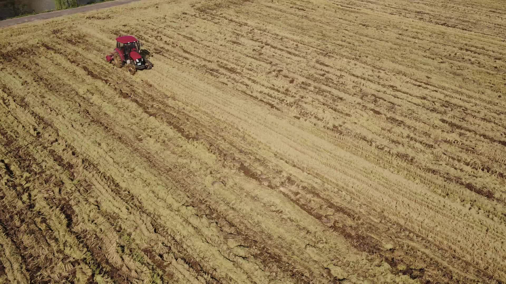 现代化稻田耕地视频的预览图