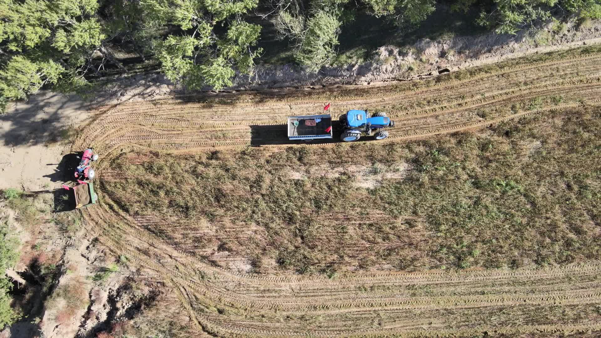 荞麦收割视频的预览图