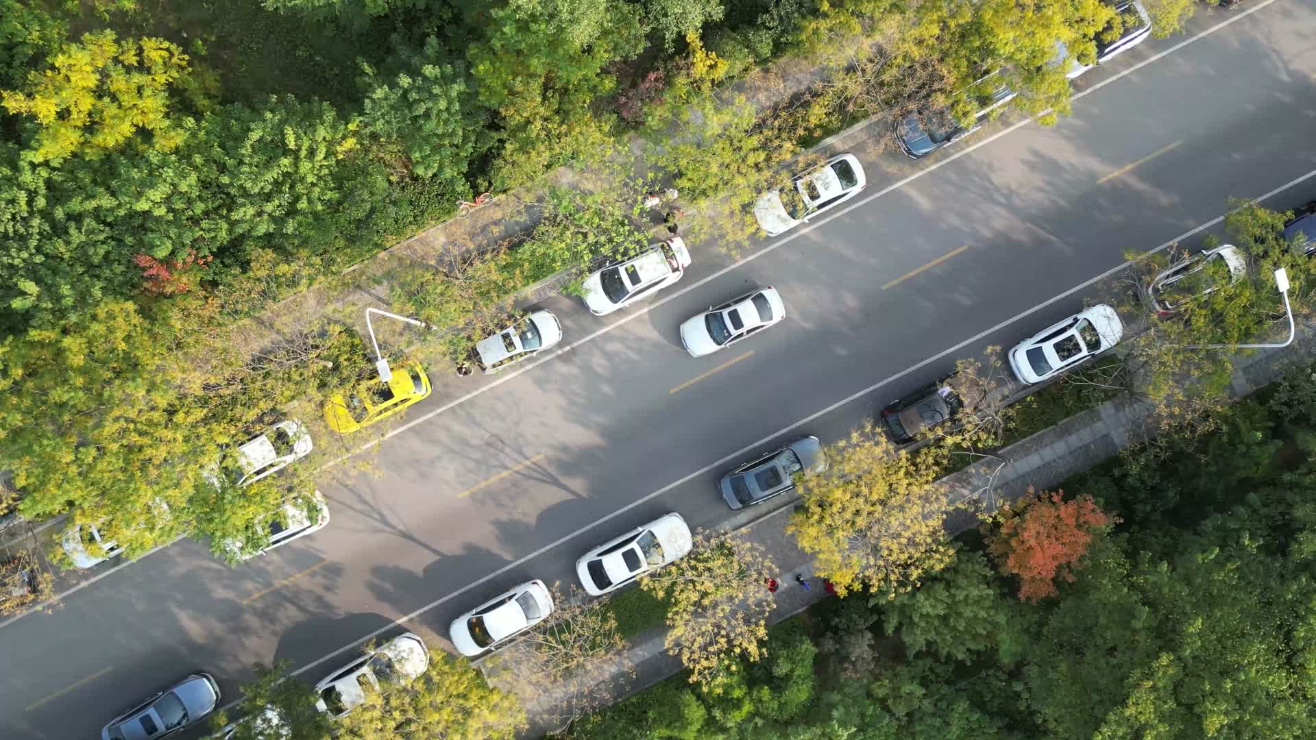 秋季公路行驶美景视频的预览图
