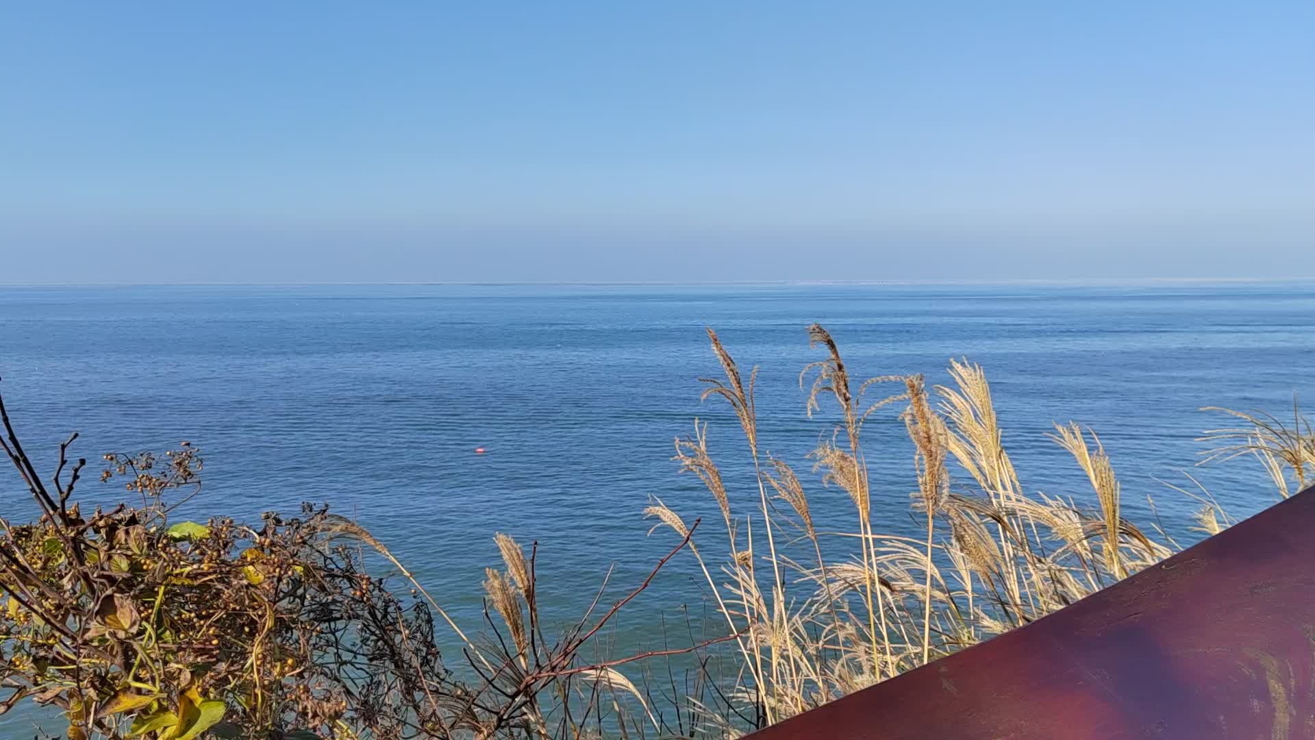 波光粼粼的海面视频的预览图