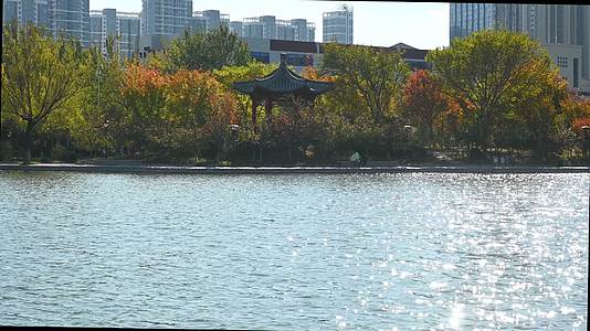 秋天大学校园里波光粼粼的湖面视频的预览图